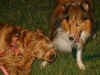 mandy-buffy-11-04-02.jpg (40508 bytes)