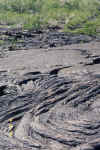 lava_field_hard_to_walk_on_galapagos.JPG (71719 bytes)