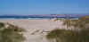 dunes_from_south_boardwalk.jpg (36253 bytes)