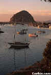 Marina at Morro Bay