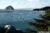 Boats in Morro Bay