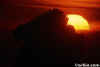 Cormorants on a Rock at Sunset